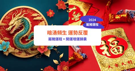 2024 運程 豬|【屬豬2024生肖運勢】暗湧頻生，運勢反覆｜屬豬運 